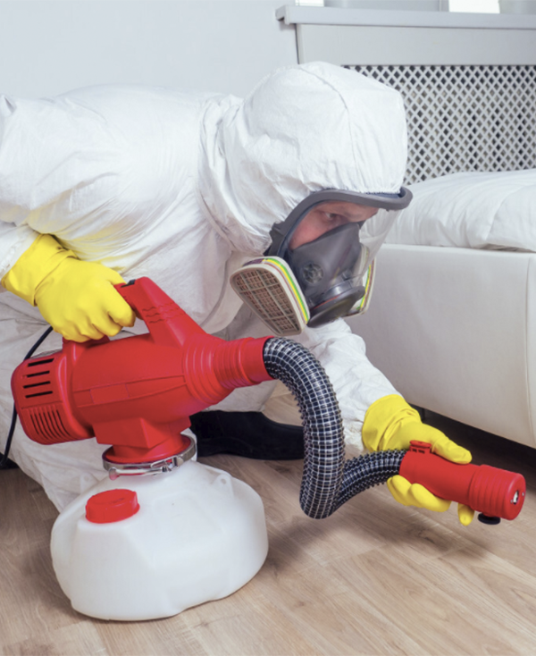 Why Choose Macro Pest Control